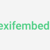 header-indexifembedded